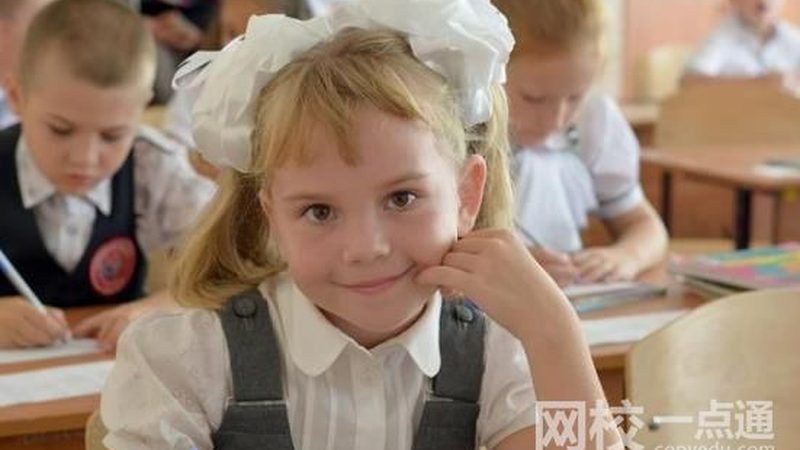 成都电子配件批发：优劣势解析与选购要点
